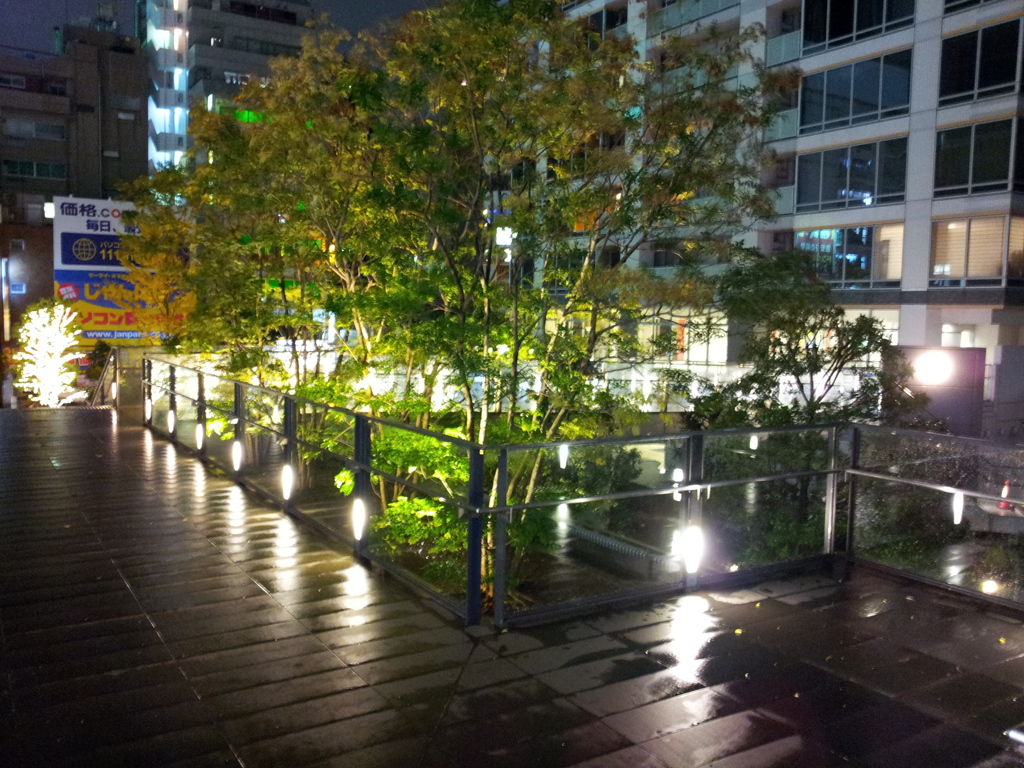 2014/11/26_夜、雨上がりの秋葉原