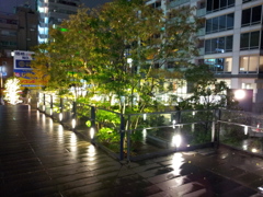 2014/11/26_夜、雨上がりの秋葉原