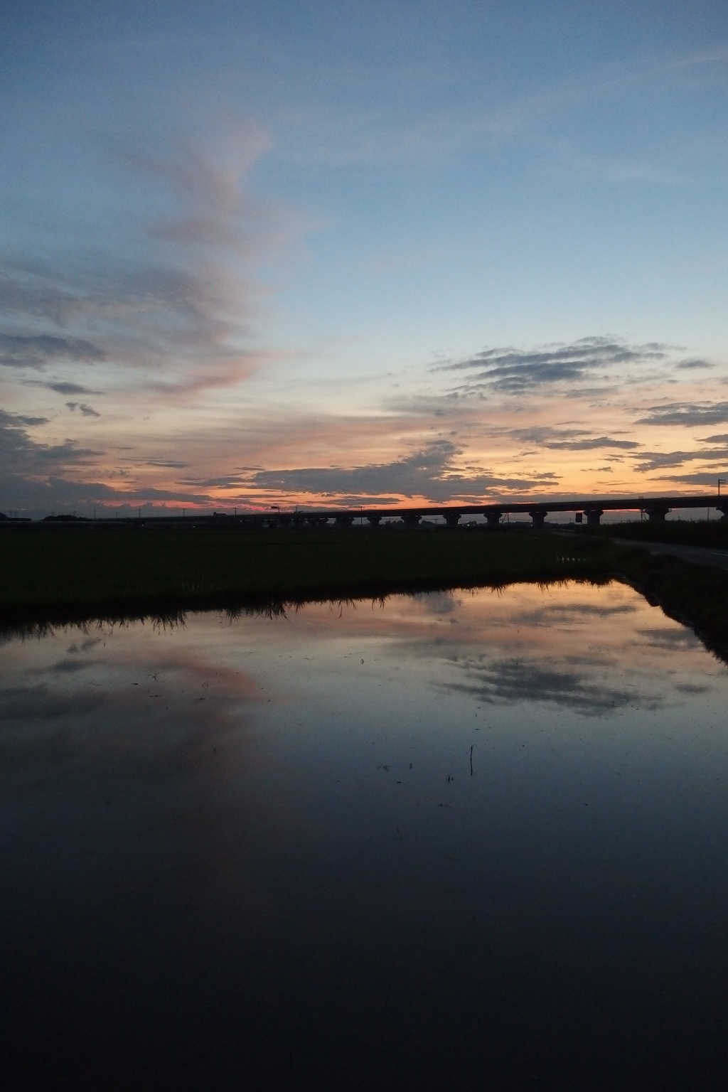 2015/07/19_水田の夕暮れ