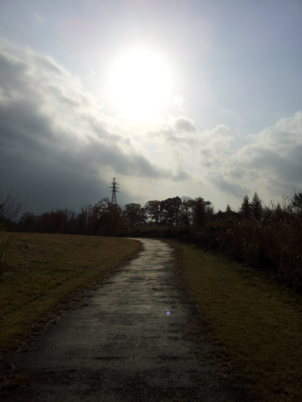 2016/11/13_三内丸山遺跡 ピクニック広場への道