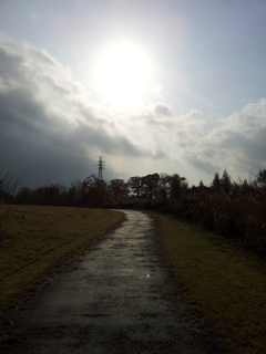 2016/11/13_三内丸山遺跡 ピクニック広場への道