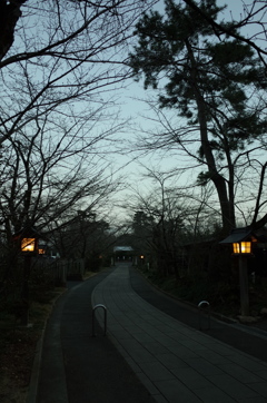2016/01/31_夕暮れの高麗神社