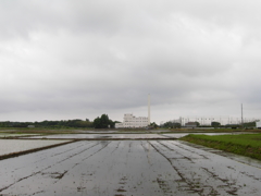 2017/05/27_水田の曇天と伊奈町クリーンセンター