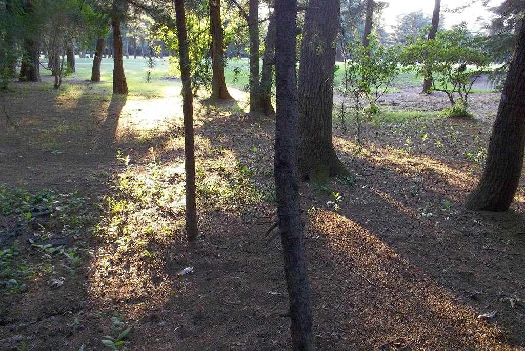 2015/05/24_夕暮れのゴルフ場