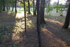 2015/05/24_夕暮れのゴルフ場