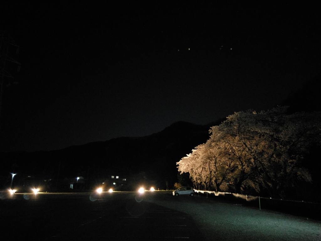 2018/03/31_外秩父の夜桜