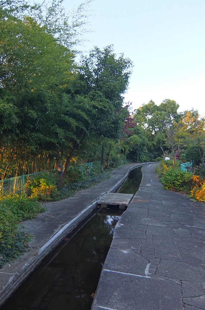 2014/11/15_鴨川みずべの里