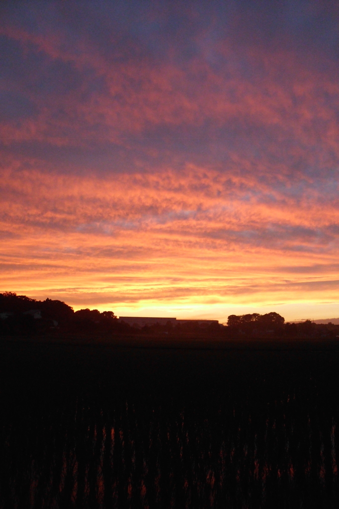 2015/06/27_夕暮れ