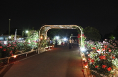 2014/05/18_夜の伊奈バラ園