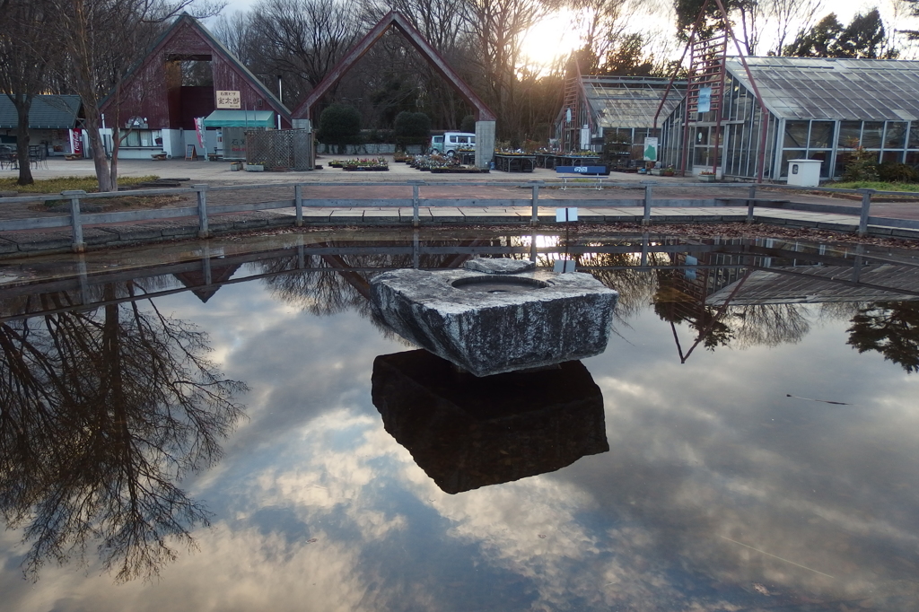 2016/01/16_農林公園 幸福の泉