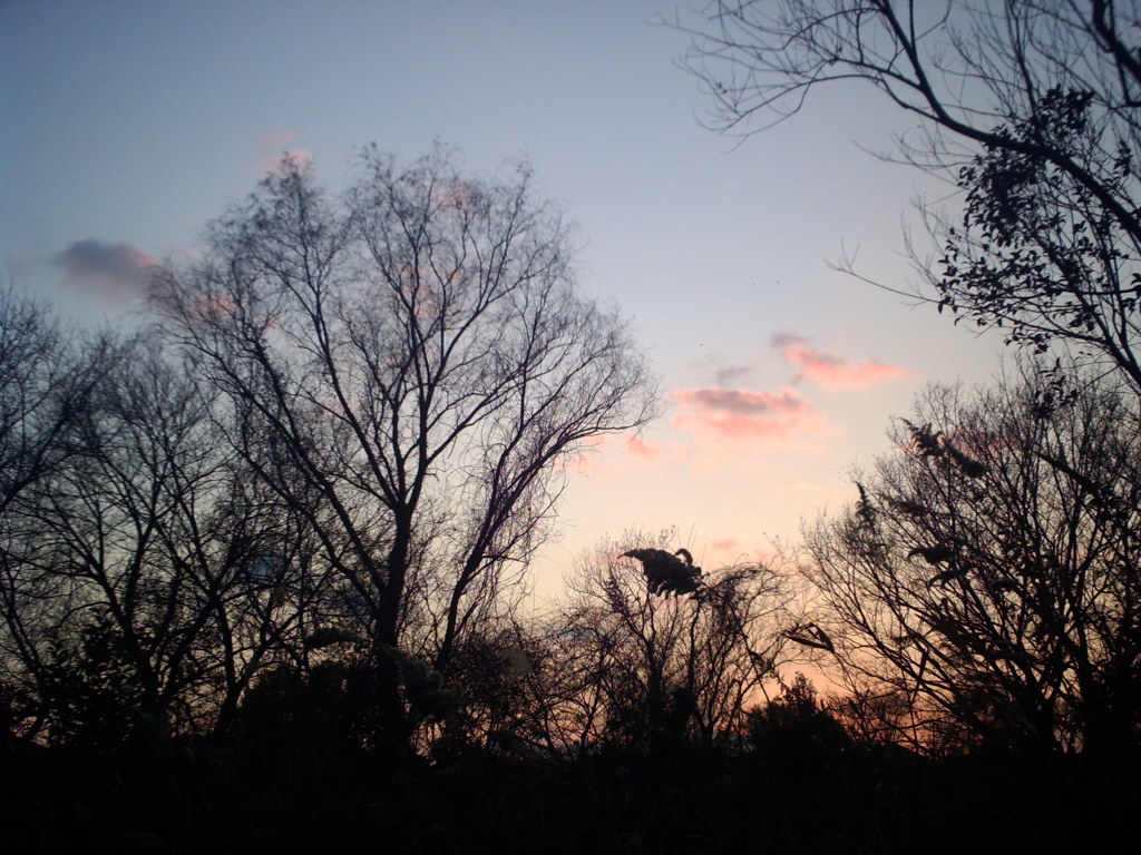 2015/12/31_夕暮れ