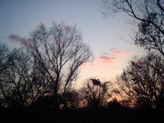 2015/12/31_夕暮れ