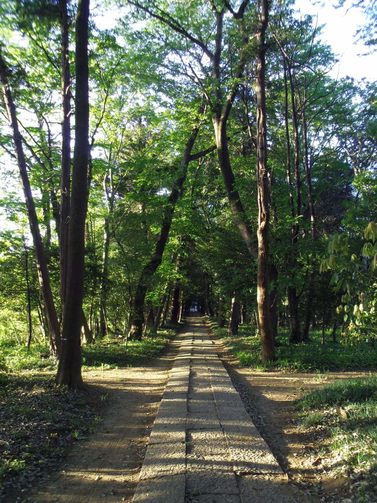 2017/05/04_神明神社参道