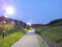 2017/06/17_南山公園（没カット）