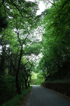 2015/05/04_林道