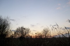 2015/12/31_夕暮れ