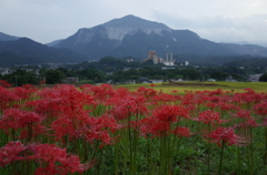 2015/09/21_寺坂棚田の彼岸花と武甲山