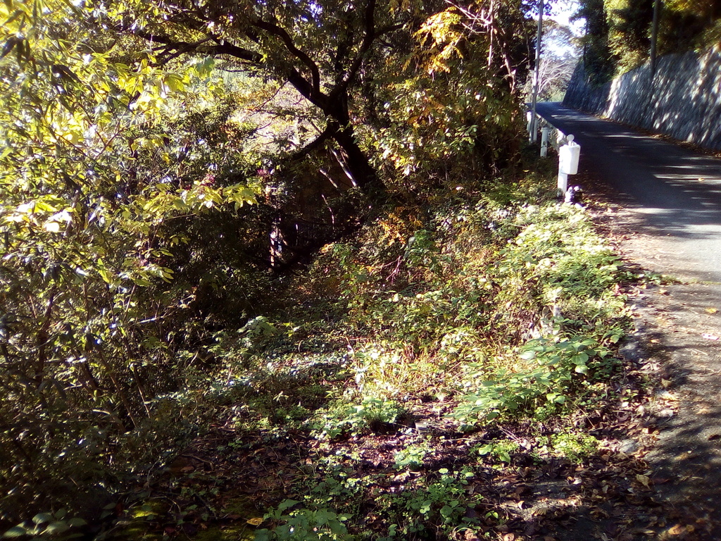 2018/11/11_外秩父山中の廃屋