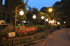 2014/05/24_夕暮れの別所沼会館