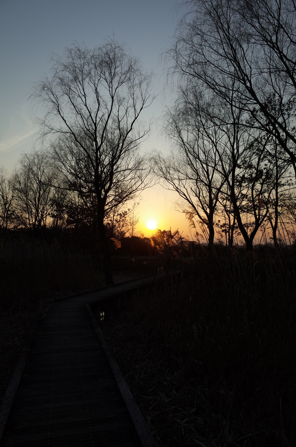 2015/02/11_ホタルの里