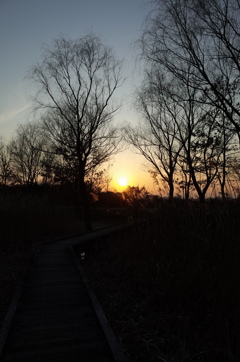 2015/02/11_ホタルの里