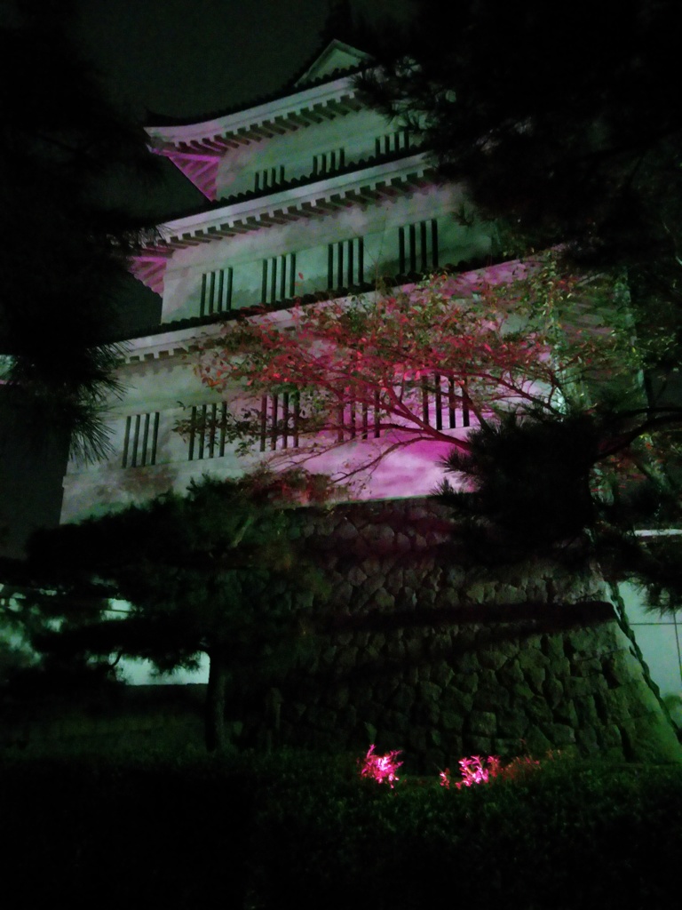 2016/10/10_ピンクリボンの夜の忍城