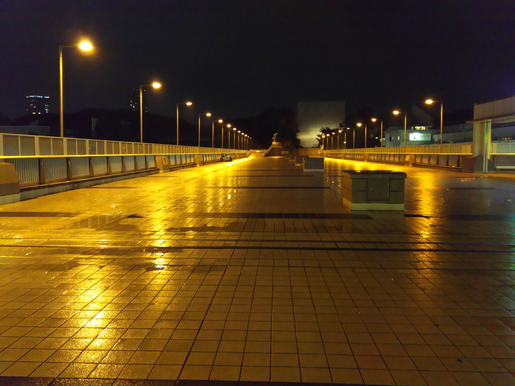 2016/11/21_夜、雨上がりのパンダ橋
