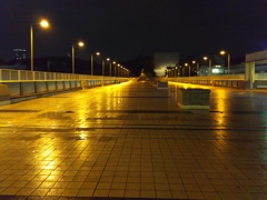 2016/11/21_夜、雨上がりのパンダ橋