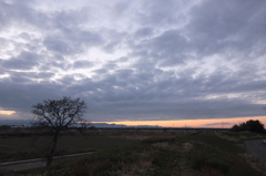 2014/01/05_夕暮れの木と太郎右衛門橋