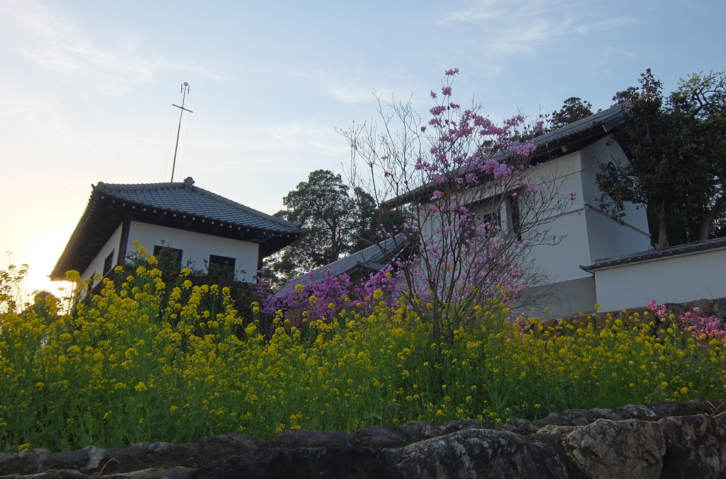 2014/04/12_夕暮れの高麗郷古民家と花