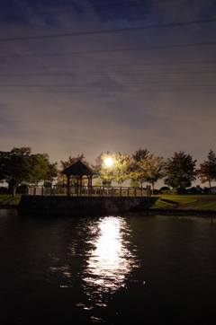 2015/10/04_夕暮れの平成の森公園
