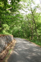 2015/05/04_林道