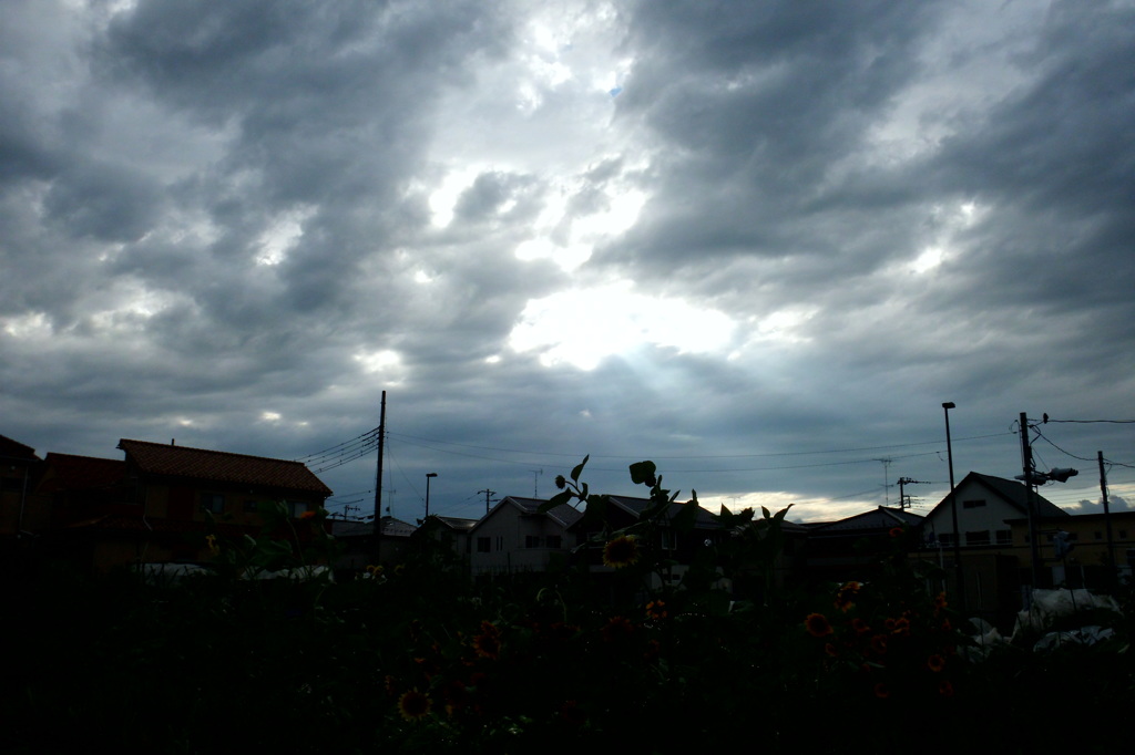 2014/06/29_天使の梯子