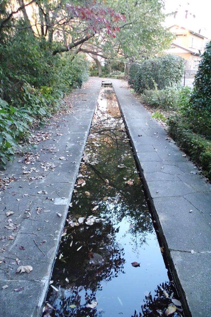 2014/11/15_鴨川みずべの里