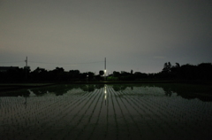 2015/05/23_夜の水田