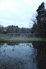 2016/03/26_北本自然観察公園