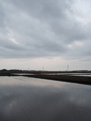 2017/05/27_水田の曇天