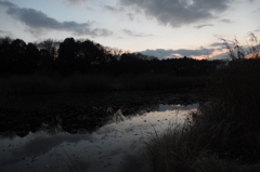 2015/12/31_赤坂沼の夕暮れ