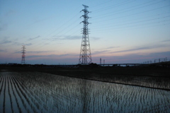 2016/06/18_水田の夕暮れ
