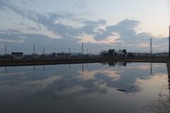 2016/03/19_水田の夕暮れ