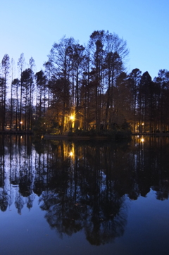 2014/12/14_夕暮れの別所沼公園