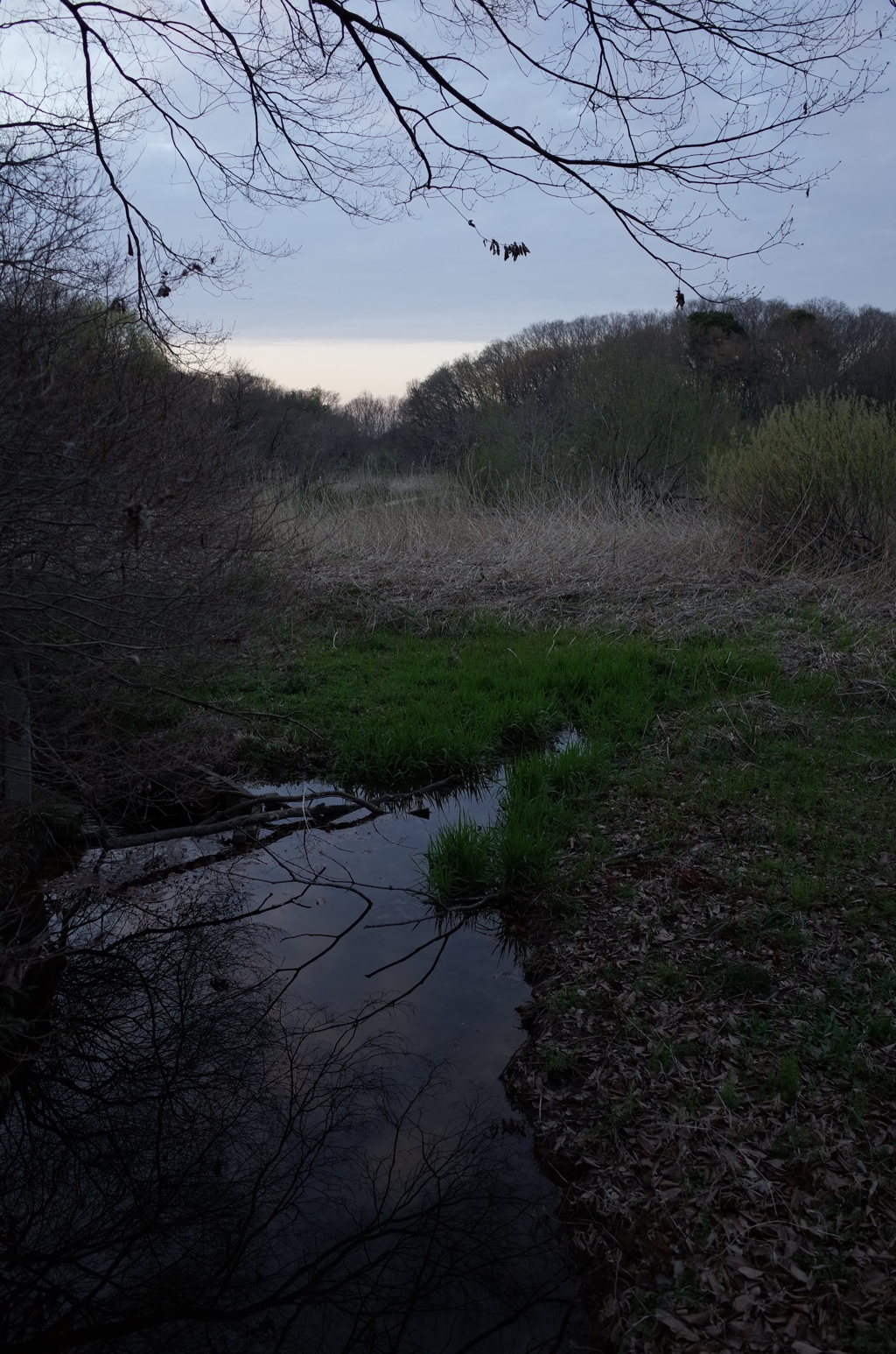 2016/03/26_北本自然観察公園