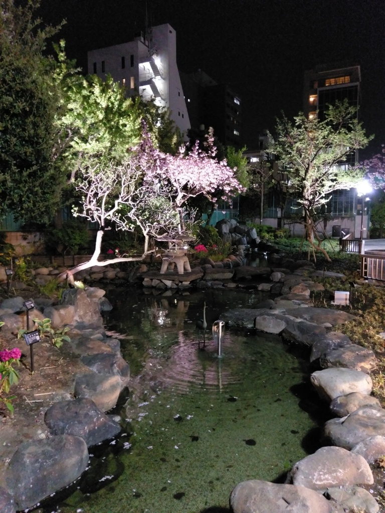 2019/04/15_夜の御徒町公園