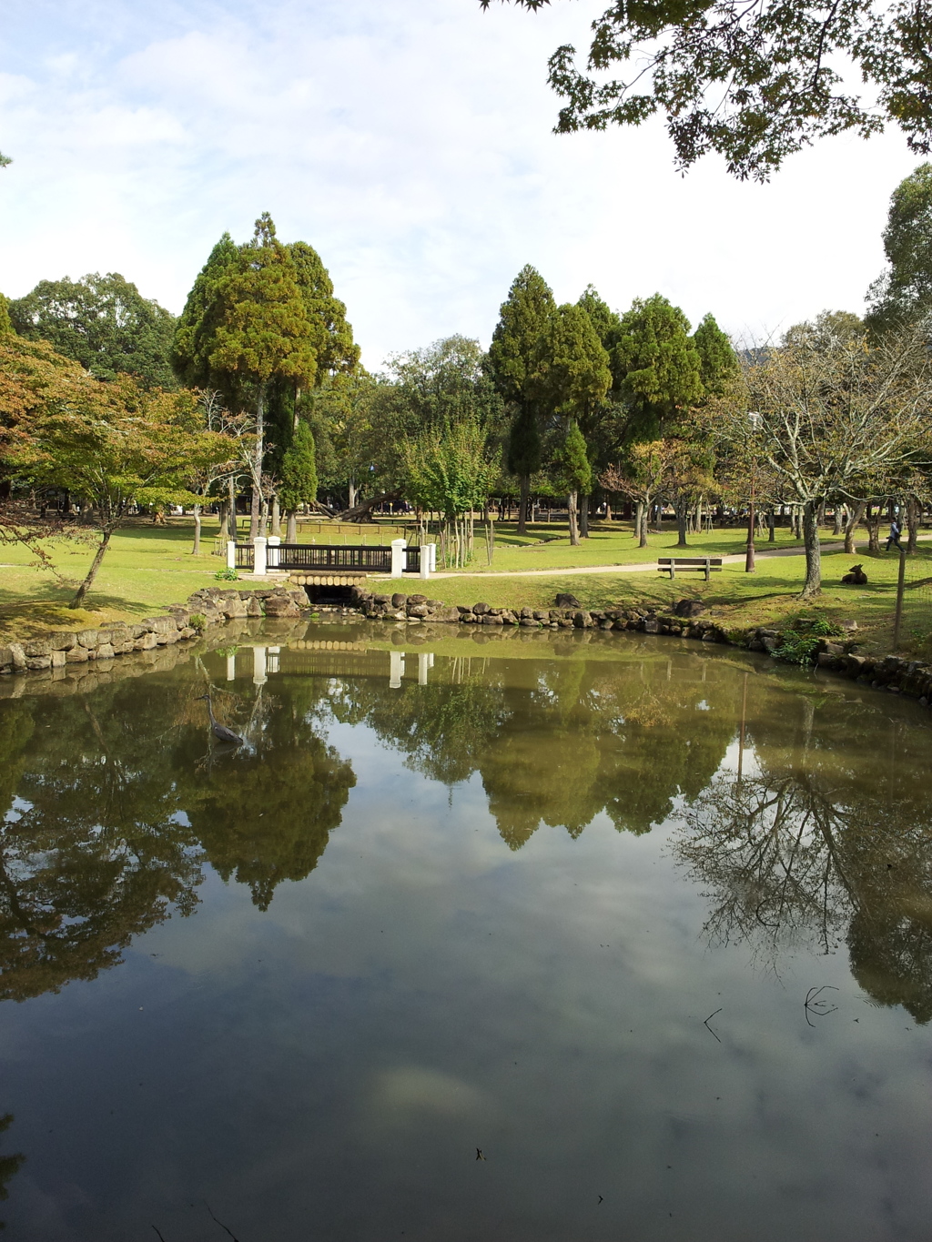 2016/10/18_奈良公園 浅茅ヶ原園地の池に空