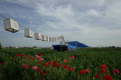 2015/05/03_ポピーまつり準備中