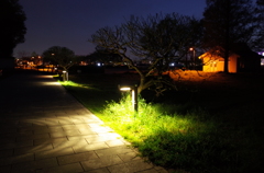 2015/04/18_夕暮れのさきたま古墳公園