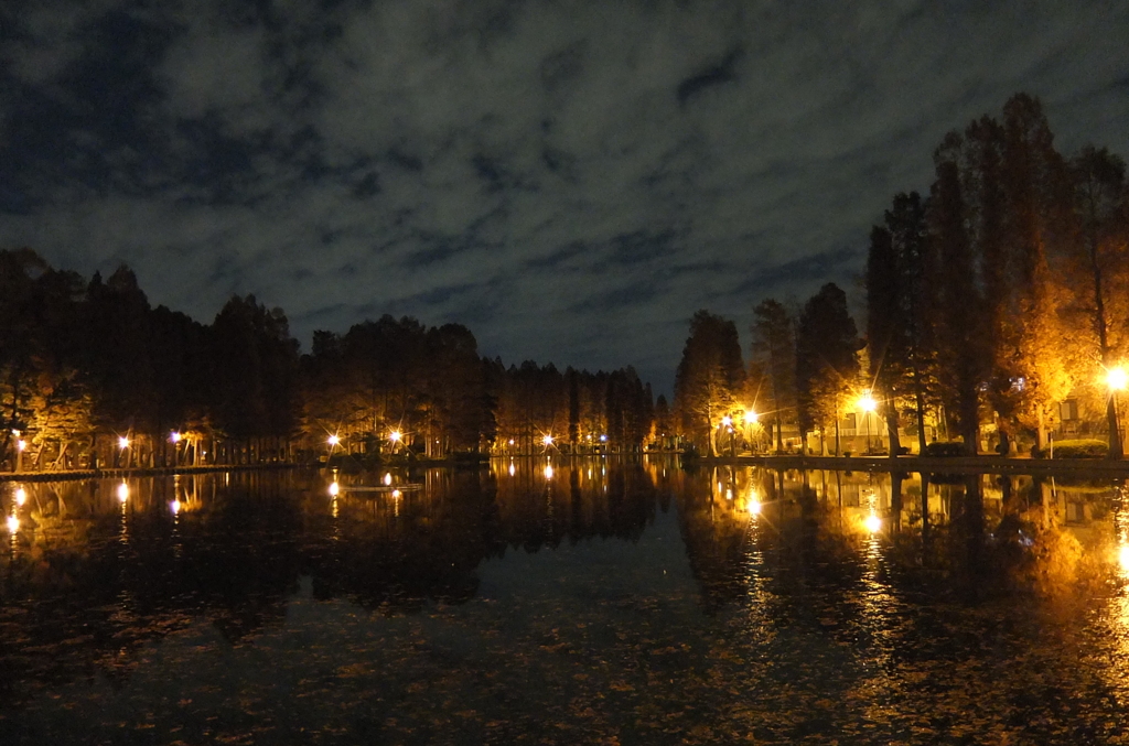 2014/12/07_夕暮れの別所沼公園