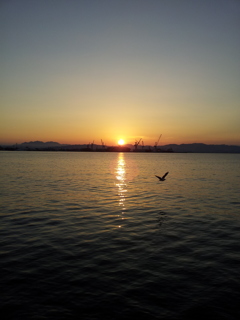 2016/08/12_函館湾の夕日