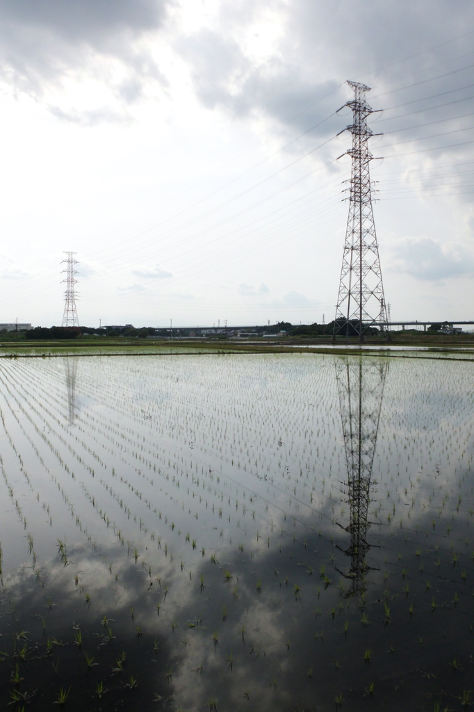 2015/06/07_水田に曇天