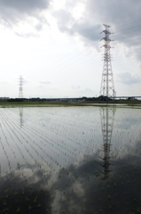 2015/06/07_水田に曇天